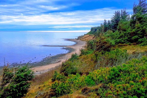 A7DB15A7-BC43-4953-9A00-E184EB793F1B A7DB15A7-BC43-4953-9A00-E184EB793F1B