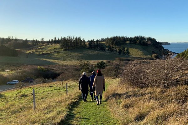 2020-12-25 12.47.24 - Kopi 2020-12-25 12.47.24 - Kopi