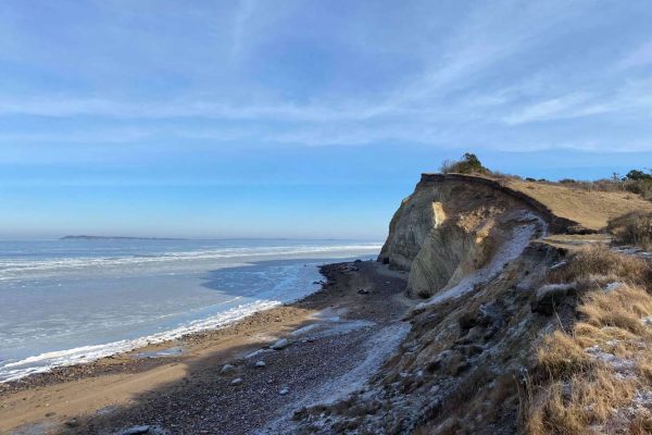 2021-02-14 15.49.14 2021-02-14 15.49.14