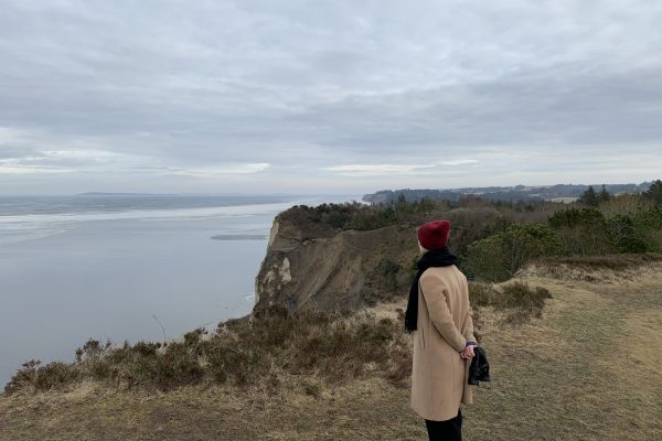 2021-02-20 13.26.36 2021-02-20 13.26.36