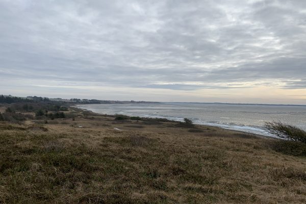 2021-02-20 13.42.06 2021-02-20 13.42.06