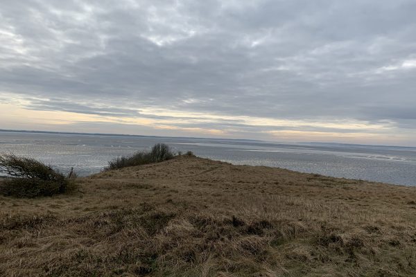 2021-02-20 13.42.07 2021-02-20 13.42.07